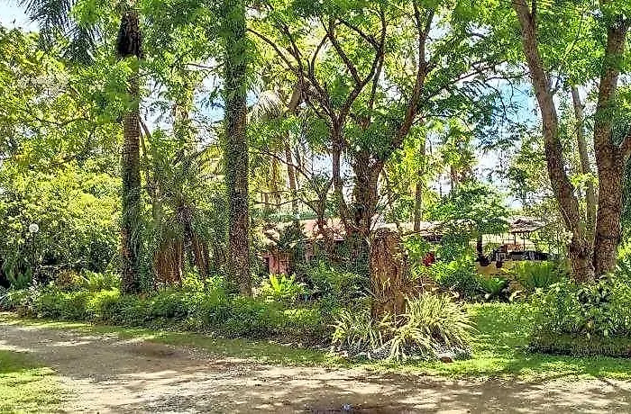 Reddoorz @ Costa Roca Balamban Cebu
